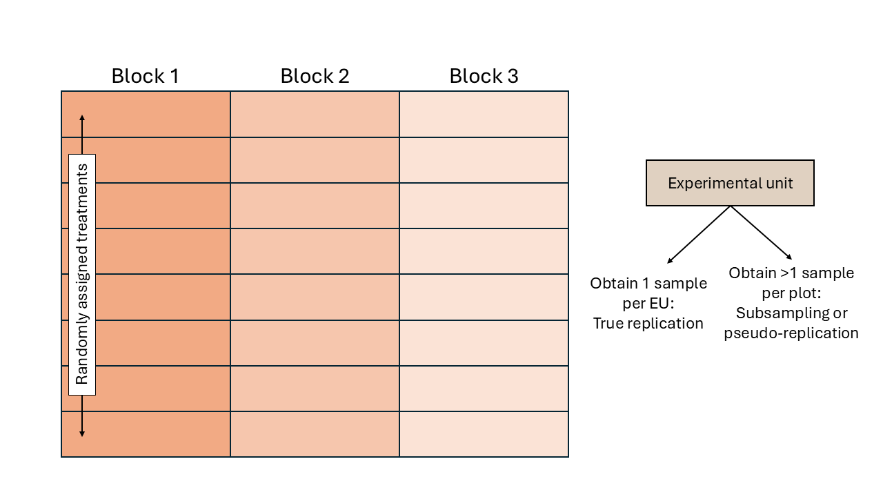 Schematic representation of a randomized complete block design.