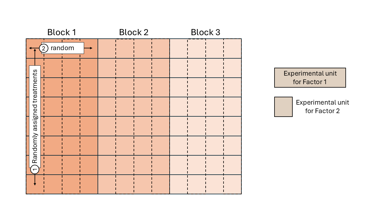 Schematic representation of a split-plot design randomized complete block arrangement.
